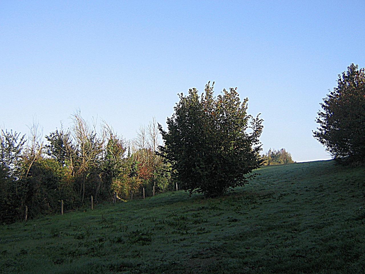 pré au matin